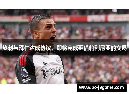 热刺与拜仁达成协议，即将完成租借帕利尼亚的交易